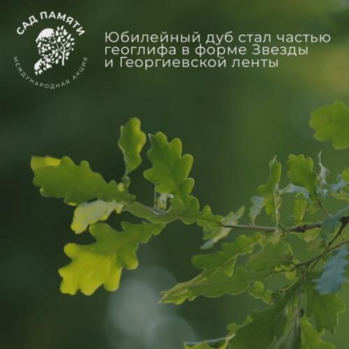 Участники проекта Сад Памяти продолжают высаживать деревья в память о героях, погибших в годы великой отечественной войны. 01