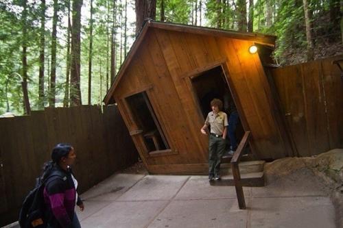 Зона прейзера - поляна, неподвластная законам гравитации. 01 Зона прейзера - поляна, неподвластная законам гравитации. 01