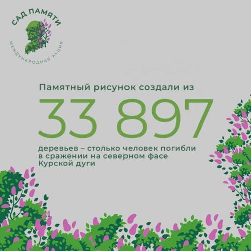 Участники проекта Сад Памяти продолжают высаживать деревья в память о героях, погибших в годы великой отечественной войны. 02