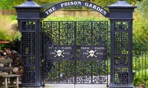 Cад ядовитых paстений в Англии. 05