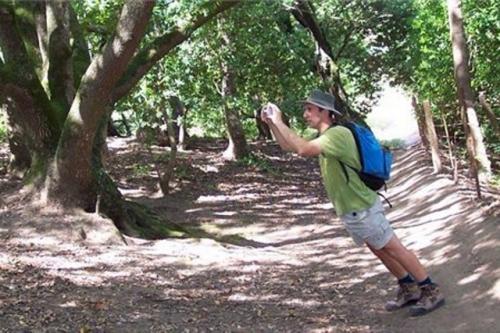 Зона прейзера - поляна, неподвластная законам гравитации. 05 Зона прейзера - поляна, неподвластная законам гравитации. 05