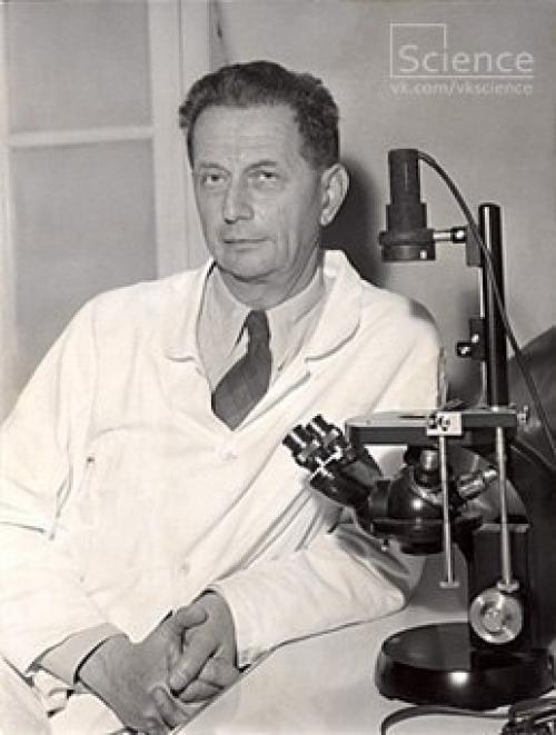 События на 8 мая, воскресенье. 02