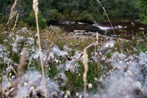 Загадочные лабиринты куркиёки. 06 Загадочные лабиринты куркиёки. 06