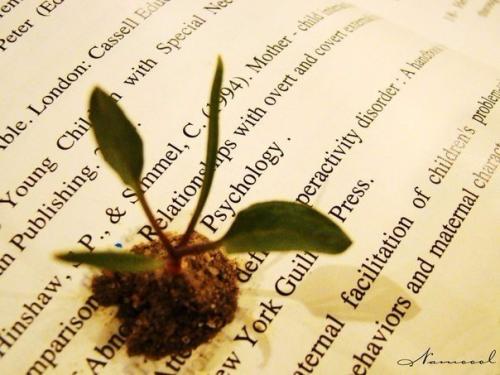 6 книг, которые откроют вам глаза на многие вещи. 6 книг, которые откроют вам глаза на многие вещи.