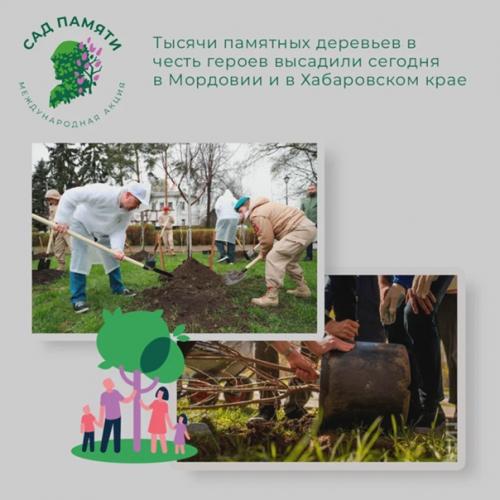 Участники проекта Сад Памяти продолжают высаживать деревья в память о героях, погибших в годы великой отечественной войны. 04