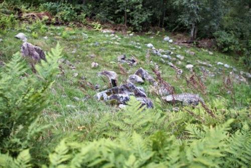 Загадочные лабиринты куркиёки. 03 Загадочные лабиринты куркиёки. 03