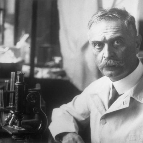 Благодаря этим 8 малоизвестным людям мы до сих пор ходим, дышим и разговариваем. 06