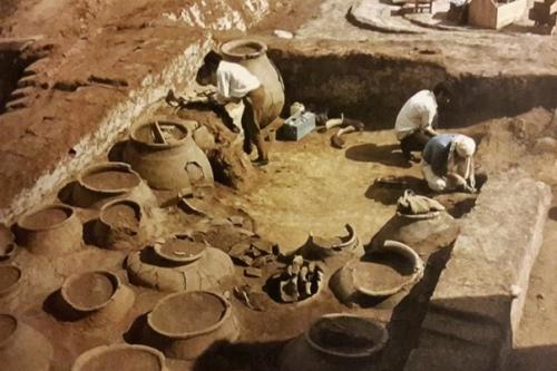 Тайны норсун - тепе. 05