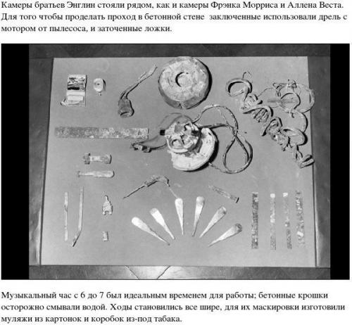 Окрашивание: однотонное окрашивание. 04