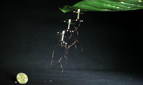 Микророботы Robobee научились 