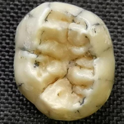 В Лаосе обнаружили зуб денисовского человека возрастом 130 000 лет. 01