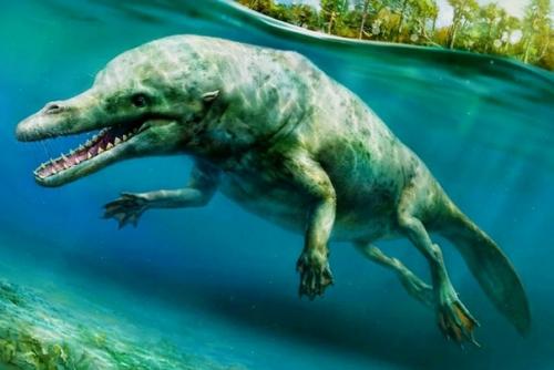 Когда киты по земле ходили. 01