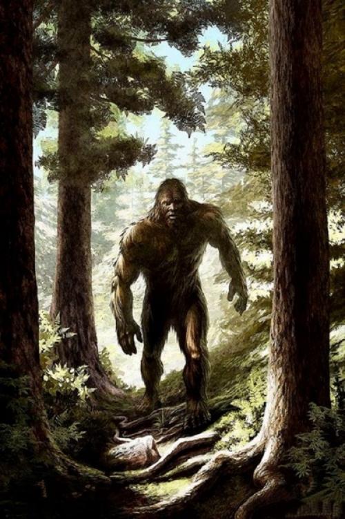 Где ты бродишь, снежный человек? 02