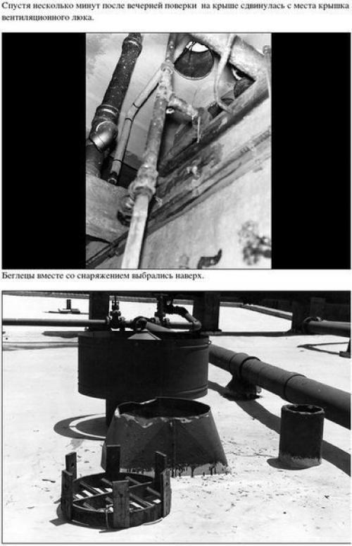 Окрашивание: однотонное окрашивание. 06