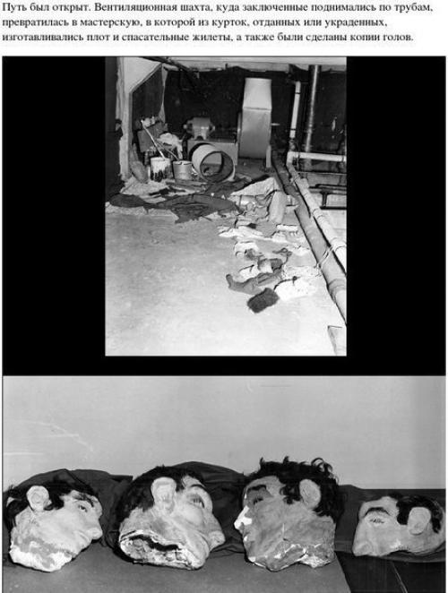 Окрашивание: однотонное окрашивание. 05