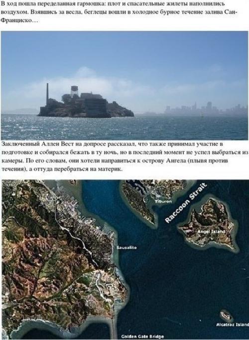 Окрашивание: однотонное окрашивание. 07