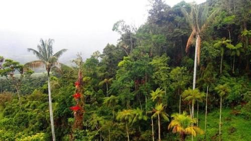 Тайны озера кондоров. 02