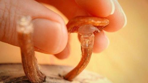 Ночник из светодиодов своими руками. 07