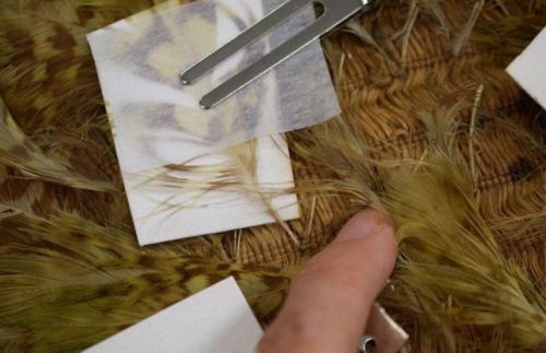 Этот плащ маори сделали из перьев совиного попугая более 200 лет назад. 02 Этот плащ маори сделали из перьев совиного попугая более 200 лет назад. 02