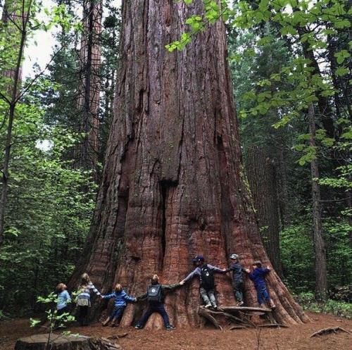 Этой семье нет телевизоpа и айпадов, зaтo ecть живoтныe, книги и пpиpoдa! 04