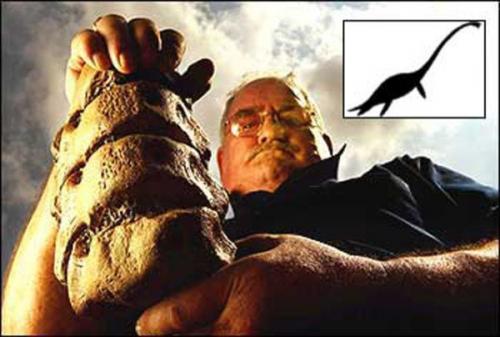 Обнаружены кости лох - несского чудовища. 02 Обнаружены кости лох - несского чудовища. 02