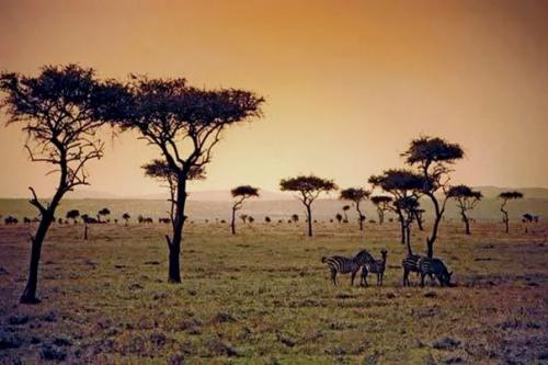 Интересные факты о самой большой пустыне. 01