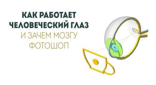 Как отрастить длинные волосы: Как отрастить длинные волосы: