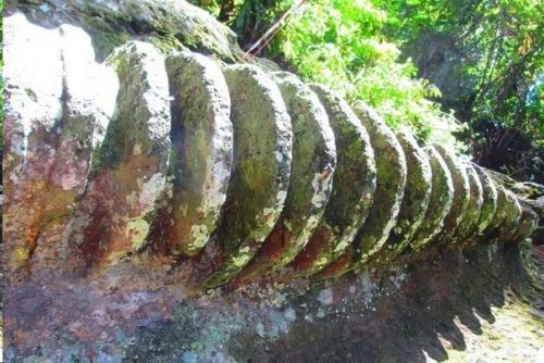 Поразительные следы штрипсовой пилы на острове гоа Гаджа, Бали. 01