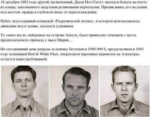 Окрашивание: однотонное окрашивание. 09