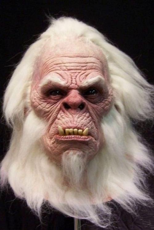 Где ты бродишь, снежный человек? 01