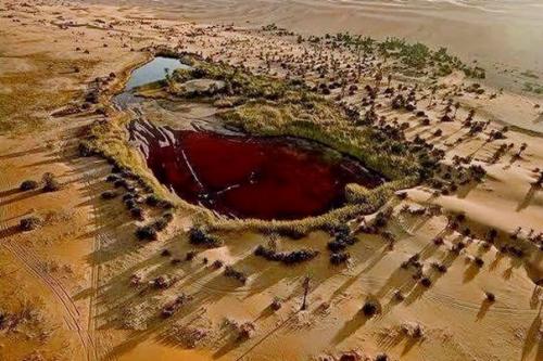 Интересные факты о самой большой пустыне. 02