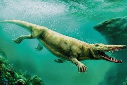 Когда киты по земле ходили. 02