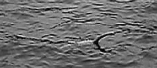 Обнаружены кости лох - несского чудовища. 03 Обнаружены кости лох - несского чудовища. 03