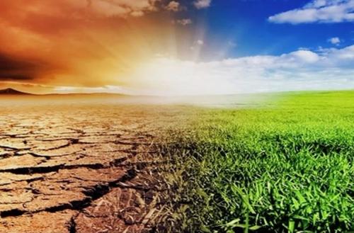 Интересные факты о самой большой пустыне. 04