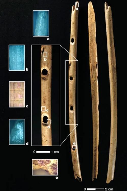 О древних флейтах возрастом более 31 000 лет, найденных в пещере холе - фельс на территории Германии. 01 О древних флейтах возрастом более 31 000 лет, найденных в пещере холе - фельс на территории Германии. 01