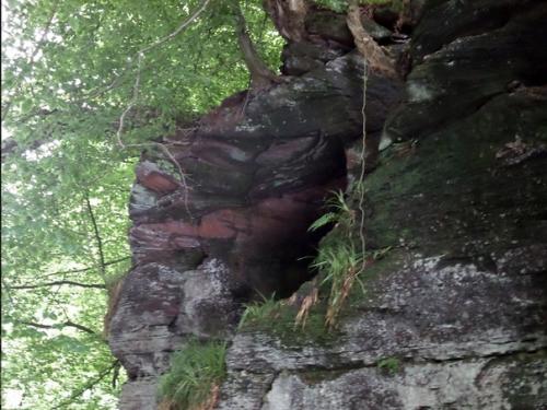 Зловещая маска шотландского пророка. 03