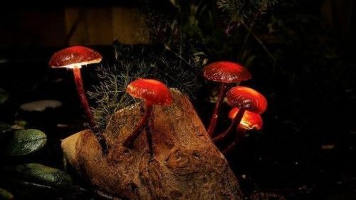 Ночник из светодиодов своими руками.