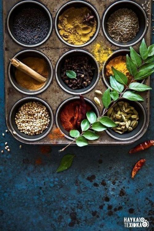 Путеводитель по специям: Путеводитель по специям: