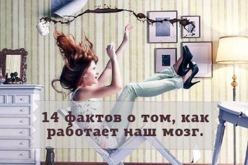 14 фактов о том, как работает наш мозг. 14 фактов о том, как работает наш мозг.