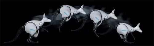 Бионический кенгуру (Bionickangaroo) от Festo. 04