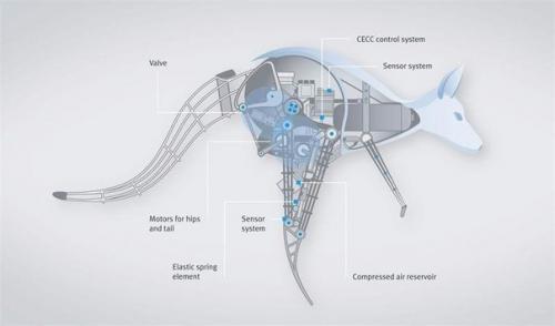 Бионический кенгуру (Bionickangaroo) от Festo. 01