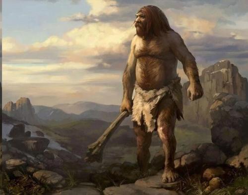 СХЕМА@Balayage. ОКРАШИВАНИЕ L'Oreal Professionnel. 05