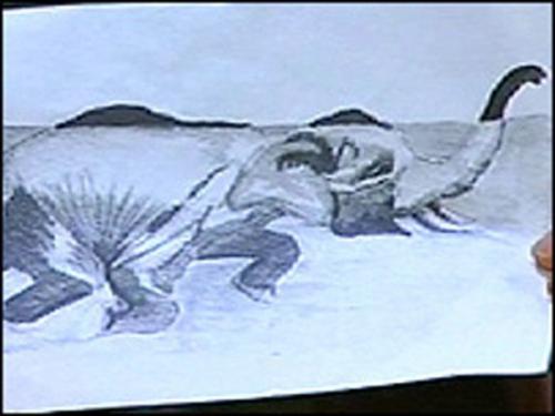 Обнаружены кости лох - несского чудовища. 06 Обнаружены кости лох - несского чудовища. 06