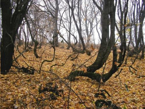 Почему шихан - гора может быть искусственным объектом. 01 Почему шихан - гора может быть искусственным объектом. 01