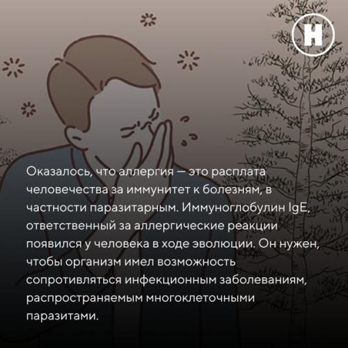 Ежегодно 8 июля отмечается всемирный день борьбы с аллергией. 03