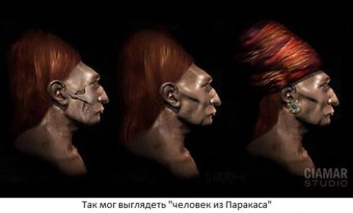 Жившие 3. 000 лет назад в перу паракасцы не были людьми. 04 Жившие 3. 000 лет назад в перу паракасцы не были людьми. 04