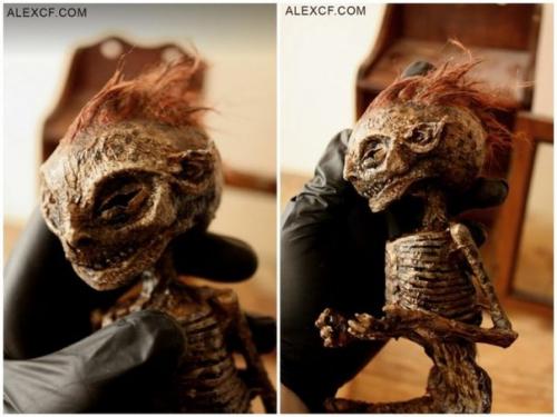 В подвале старого лондонского особняка нашли тела странных существ. 01