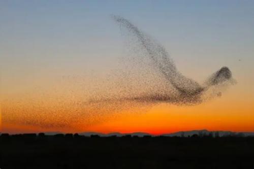 Реальные природные явления, которые выглядят как крутые картинки из фотошопа. 08 Реальные природные явления, которые выглядят как крутые картинки из фотошопа. 08
