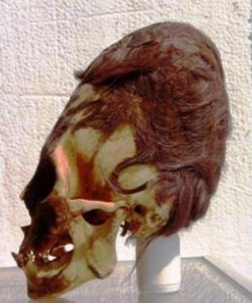 Жившие 3. 000 лет назад в перу паракасцы не были людьми. 01 Жившие 3. 000 лет назад в перу паракасцы не были людьми. 01