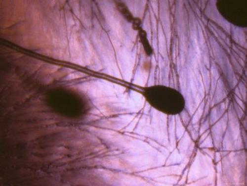 О природных аномалиях. 05 О природных аномалиях. 05